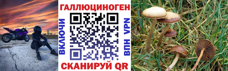 Псилоцибиновые грибы прущие грибы  Благовещенск 